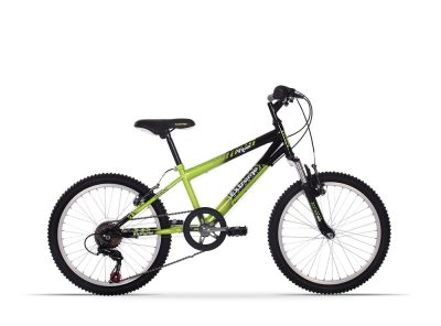 Extreme Viper 20 by Raleigh (2016)
