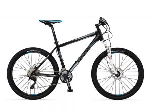 Giant Revel 0 Limited