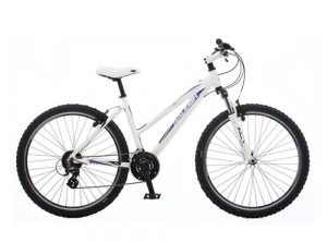 Raleigh AT20 Women’s