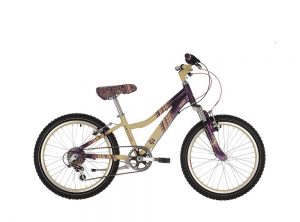 Raleigh Chic 20