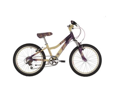 Raleigh Chic 20