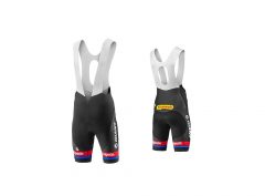 Giant Alpesin Bib Short