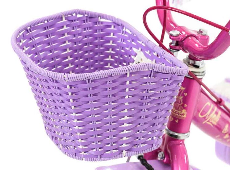 MOLL12PK_BASKET