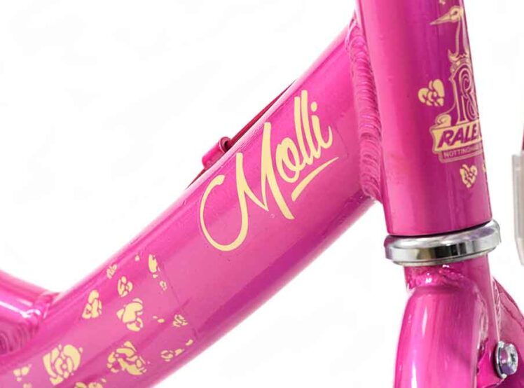 MOLL16PK_DOWNTUBEDECAL