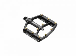 Giant pinner DH flat pedals