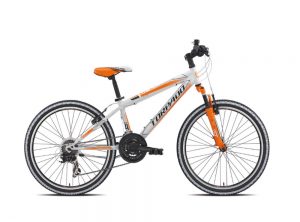 Toprado Viper 24″ (2017)