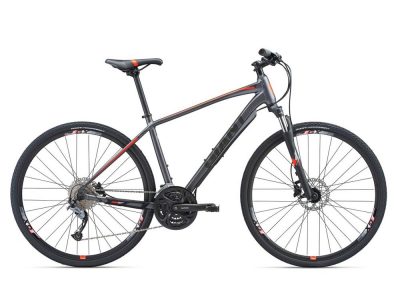 Giant Roam 2 Disc (2018)