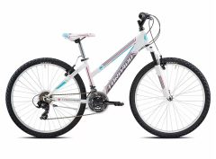 Torpado Earth Ladies – T596 (2022)