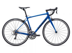 giant flat foot bikes