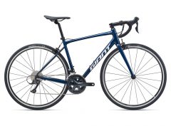 Giant Contend 1