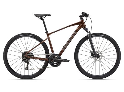 Giant Roam Disc 2 (2022)
