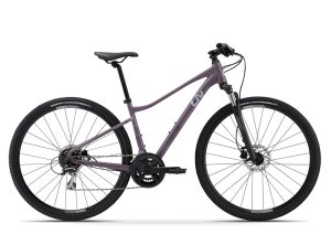Liv/Giant Rove 3 DD (2022)