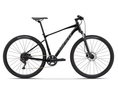 Giant Roam Disc 2 (2022)
