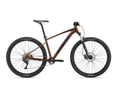 Giant Talon 1 29ER (2023)