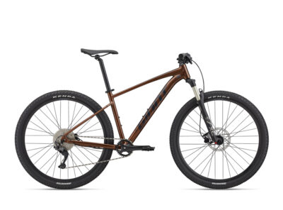 110 Best hardtail forever ideas  hardtail forever, hard tail, fashion