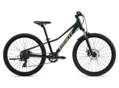 Giant Talon 24 Disc – Trekking Green